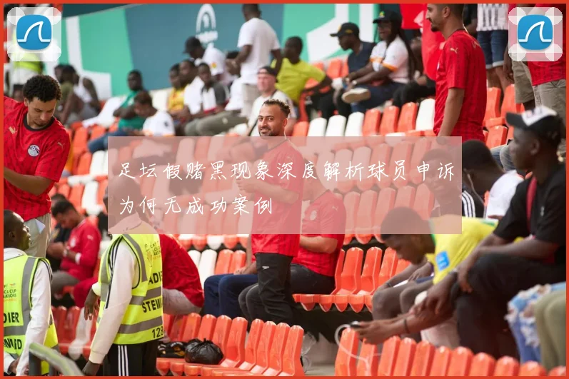 足坛假赌黑现象深度解析球员申诉为何无成功案例