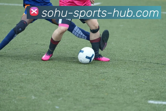 搜狐体育平台生态图